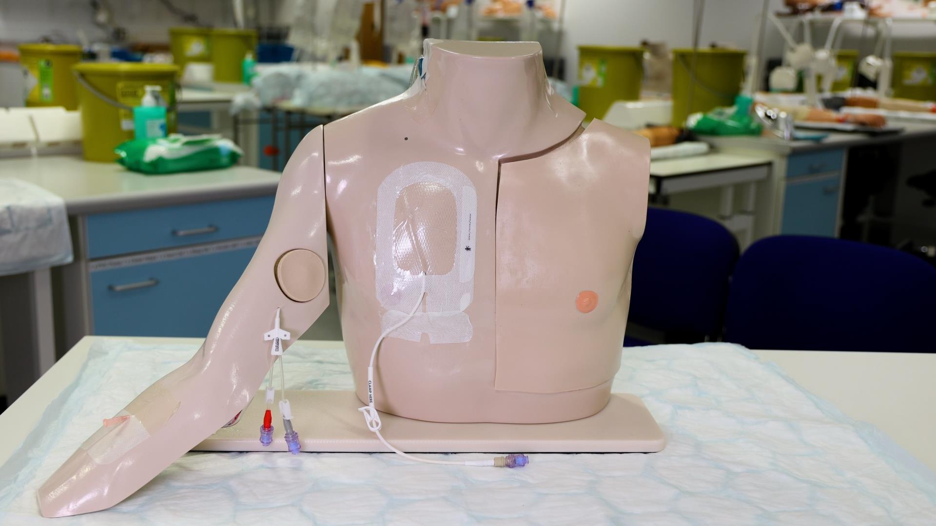 A mannequin torso known as Chester Chest, designed for medical training. It displays intravenous access sites, including a central line, with tubing connected to demonstration ports.